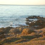 cambriaDR_0261 (November 02, 2019)